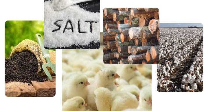 Raw Materials & Industrial Goods