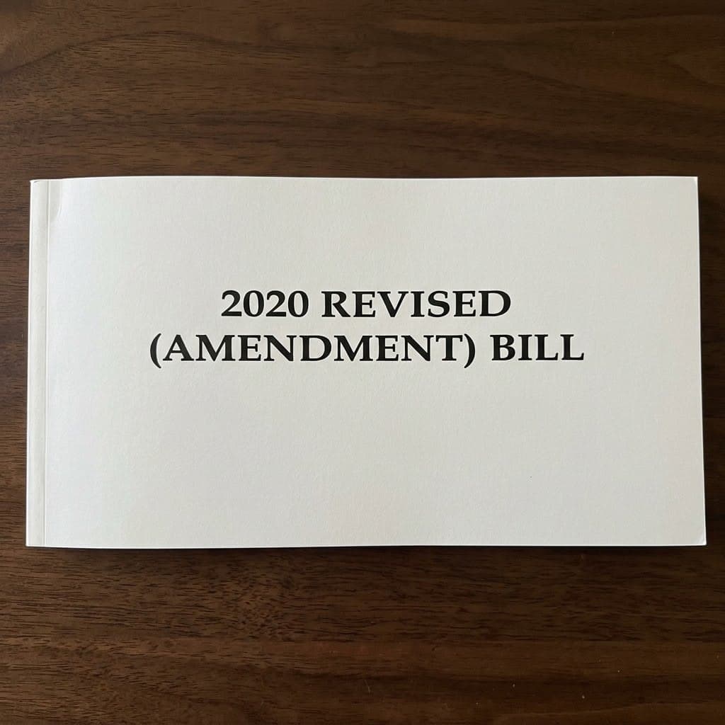 Nigeria's 2020 Revised (Amendment) Bill
