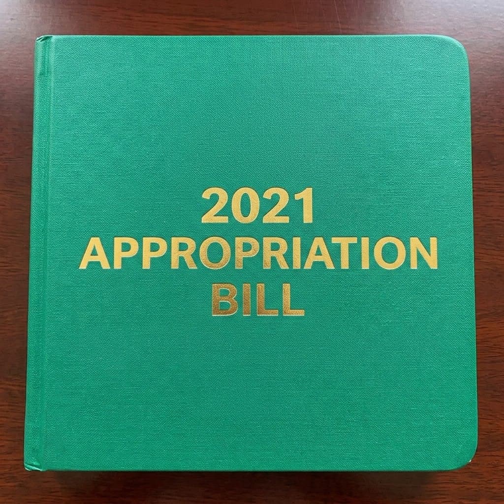 2021 Appropriation Bill