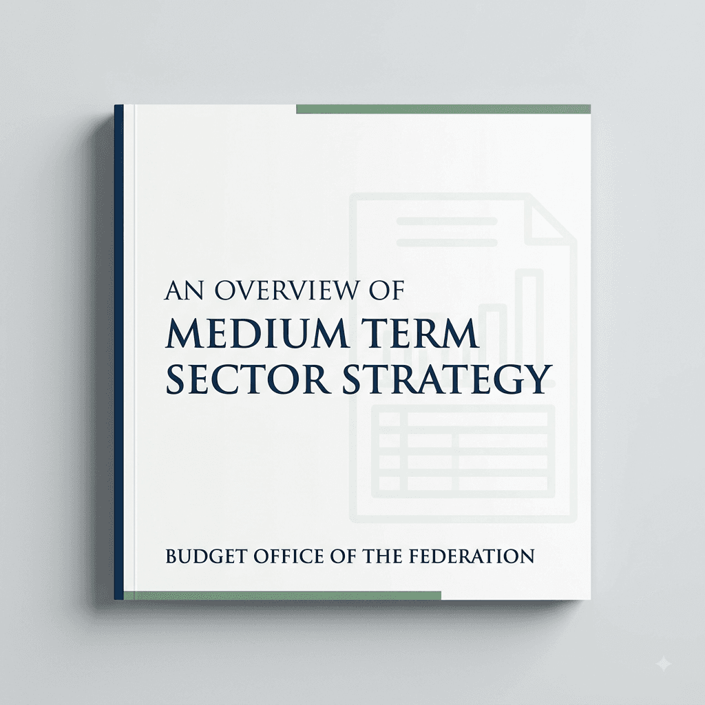 An Overview of Medium Term Sector Strategy for Nigeria