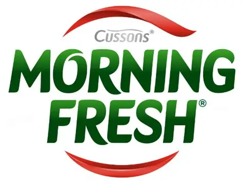 Morning Fresh — brand logo