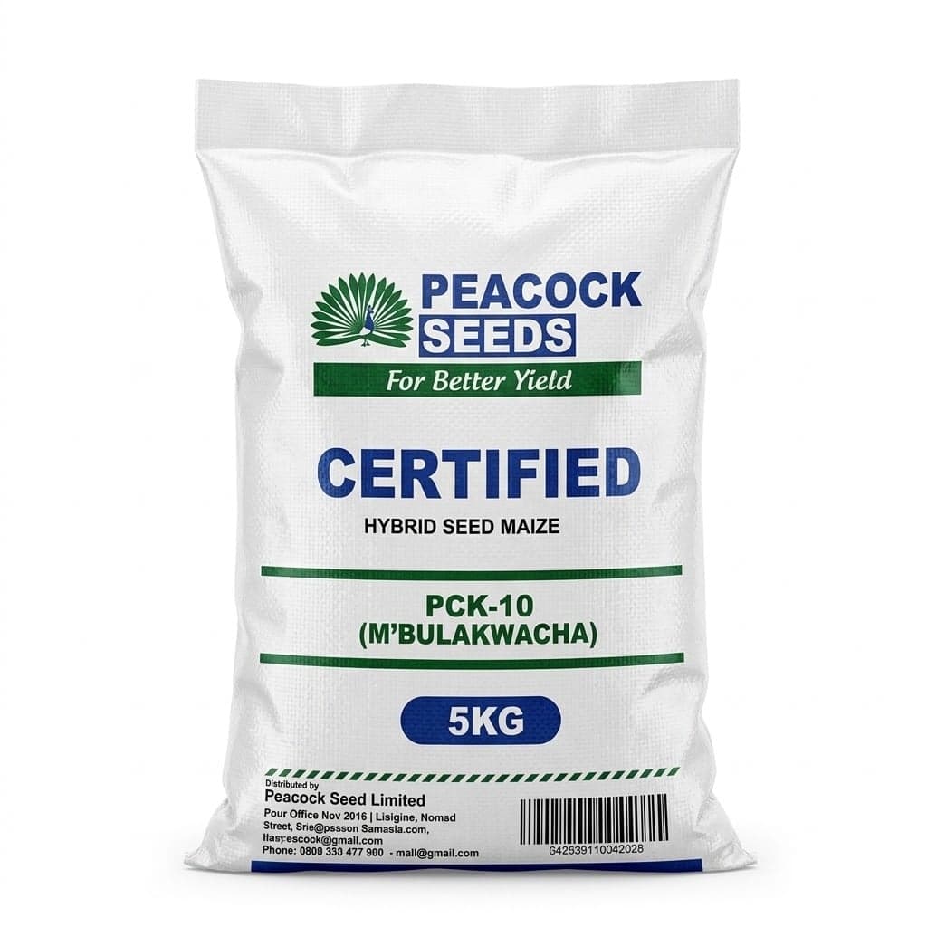 Maize Seed 5kg — by Peacock — food-agriculture-maize-seed products from MW — Afrizonemart