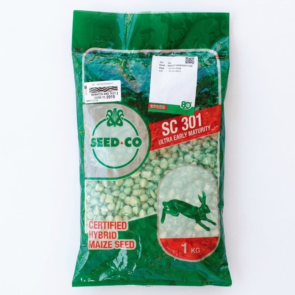 SC 301 Kalulu Seed 1kg
