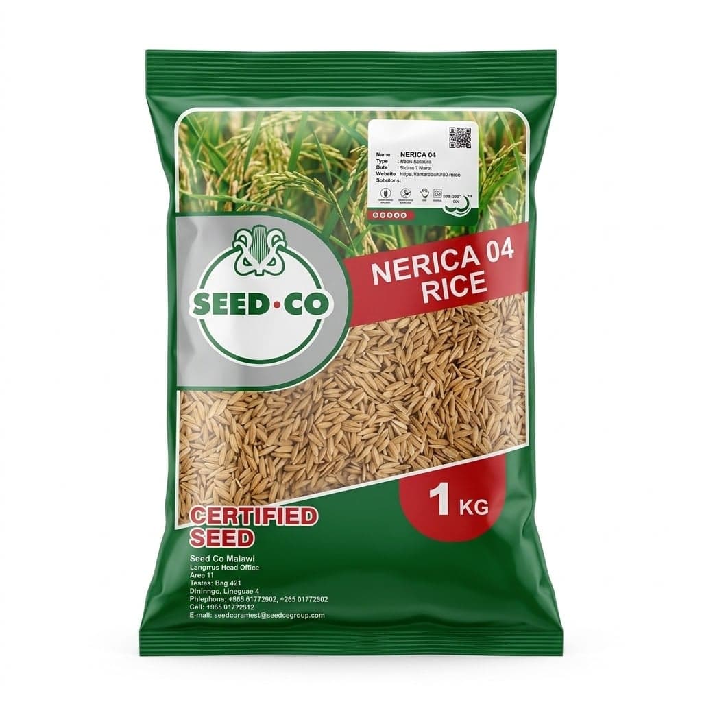 Nerica 04 Rice Seed 1kg