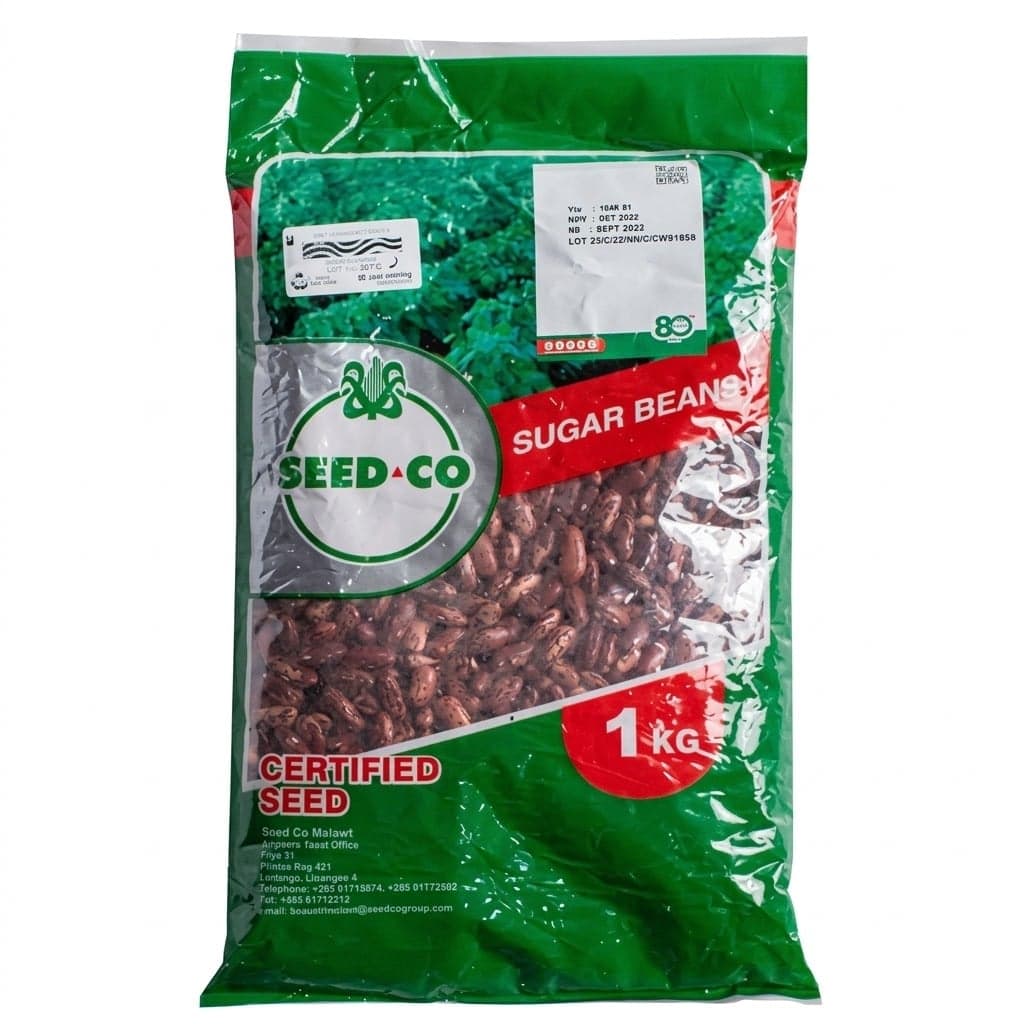 NUA 45 Bean Seed 1kg — by Seed Co Malawi — food-agriculture-bean-seed products from MW — Afrizonemart