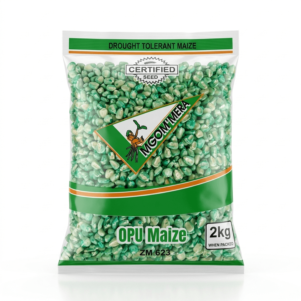 Maize ZM623 2kg