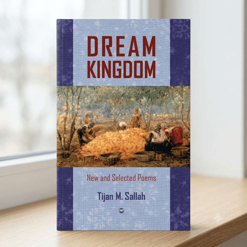 Dream Kingdom by Tijan M Sallah
