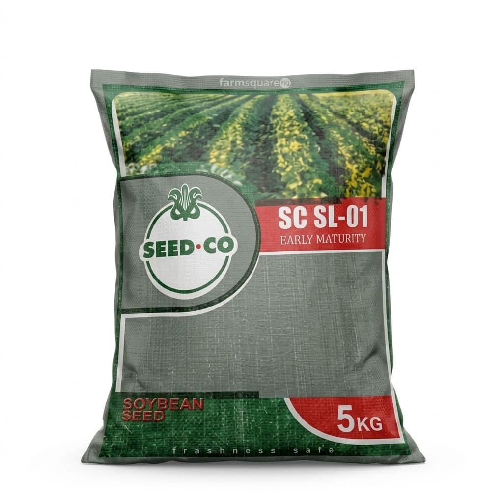 Soya Beans Grade A 5kg