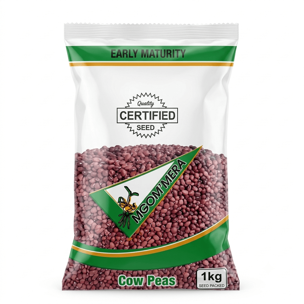 Cowpeas IT82-E16 1kg