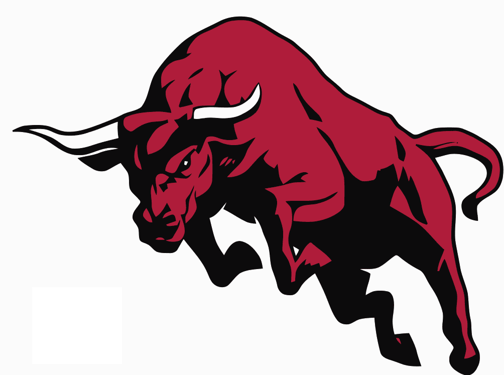 Big Bull — brand logo