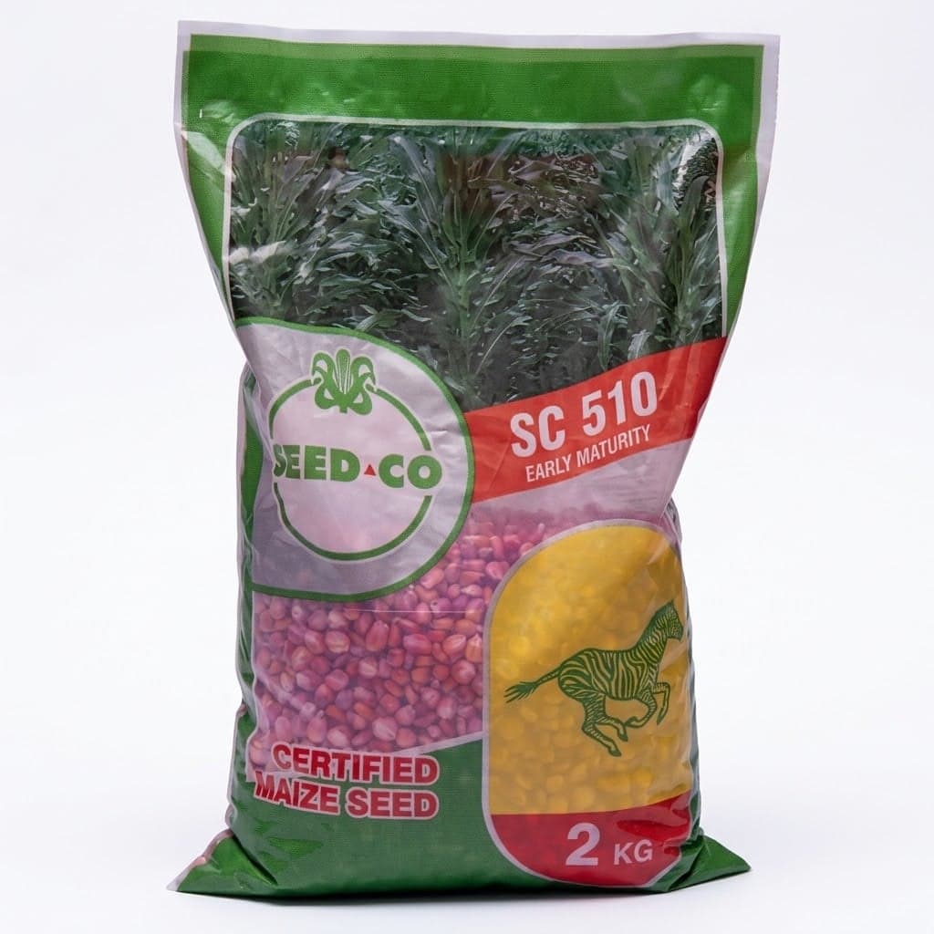 Yellow Maize Seed 2kg