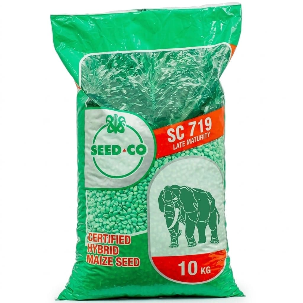 Hybrid Maize Seed 10kg
