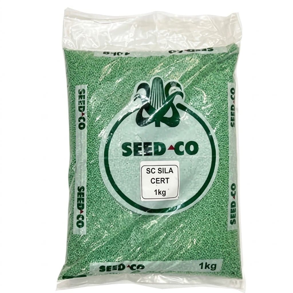 SC Scila Sorghum Seed 1kg