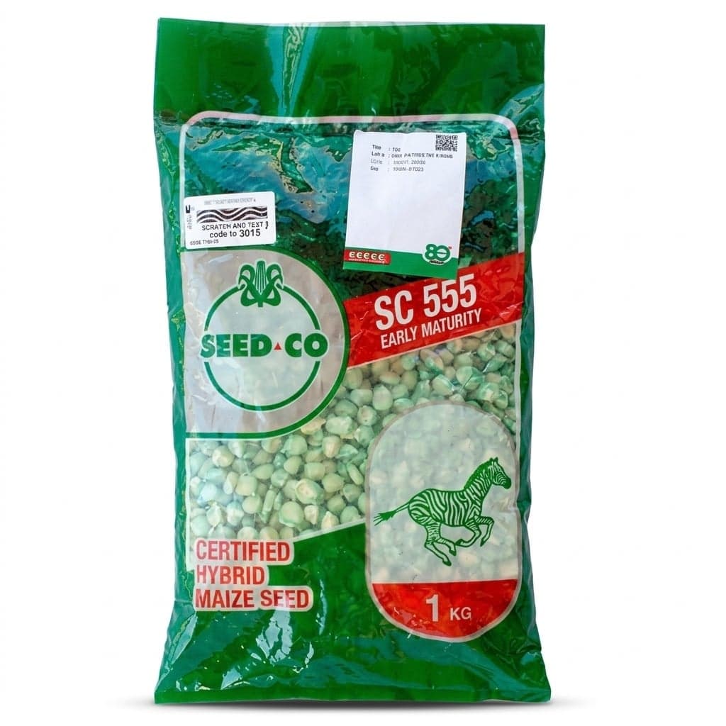 SC 555 Mbidzi Seed 1kg