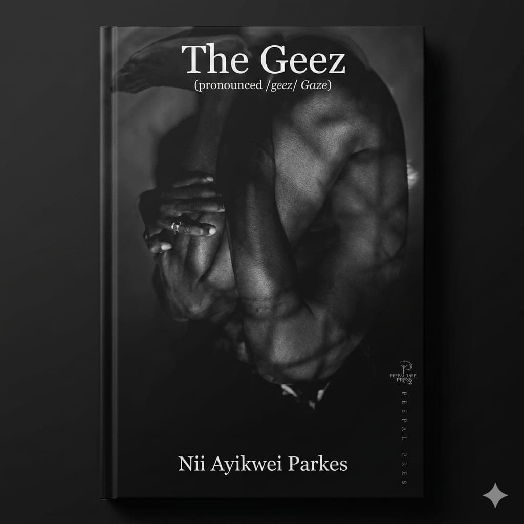 The Geez by Nii Ayikwei Parkes