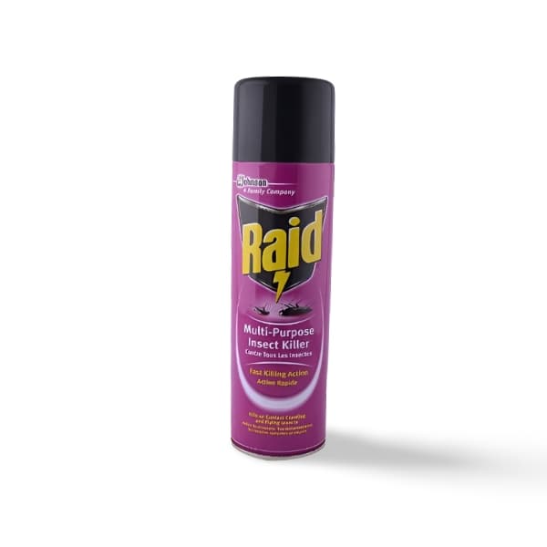 Raid Insect Spray 600ml — by Raid — Insecticides from NG — Afrizonemart