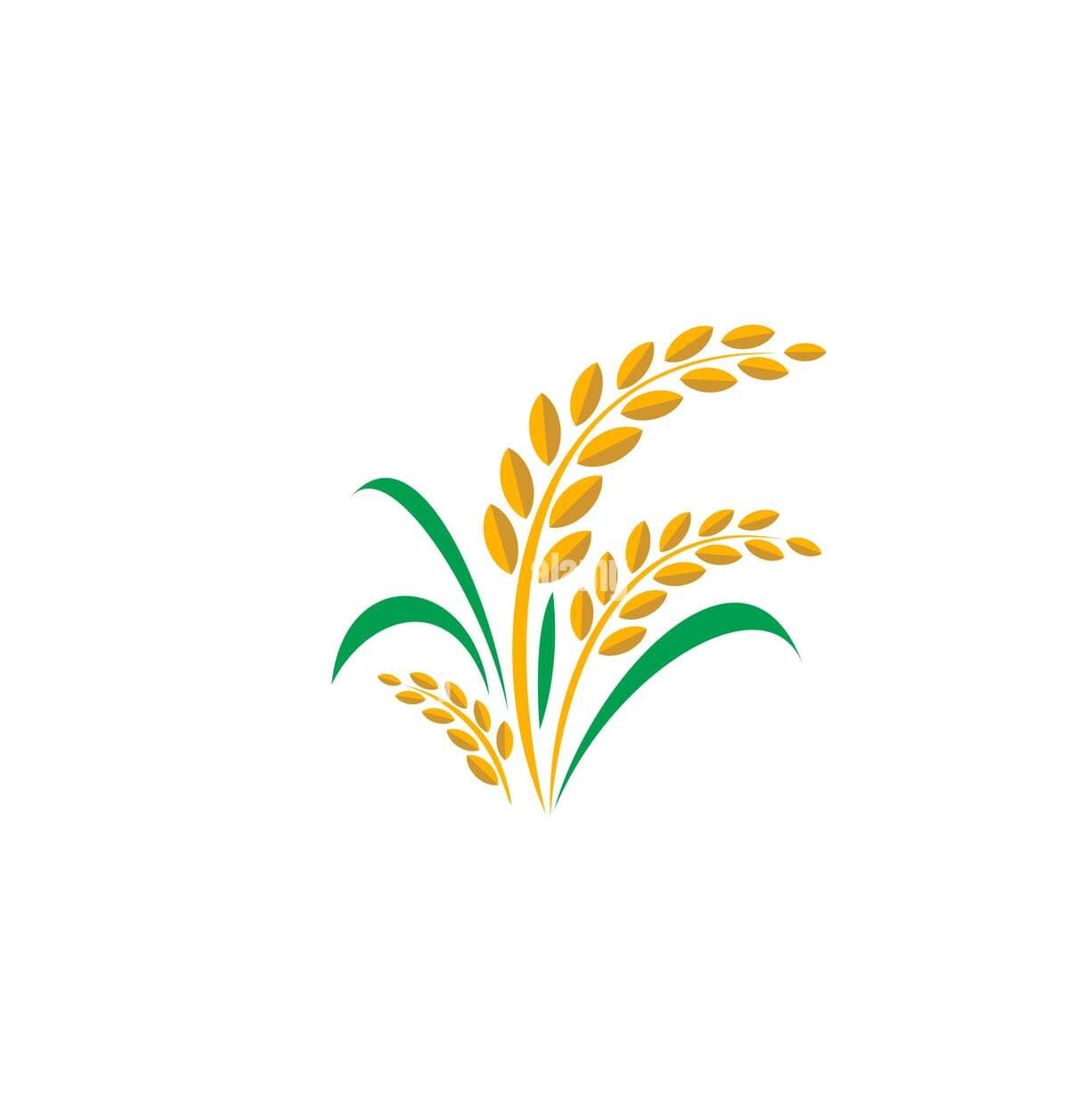 Patriot — brand logo