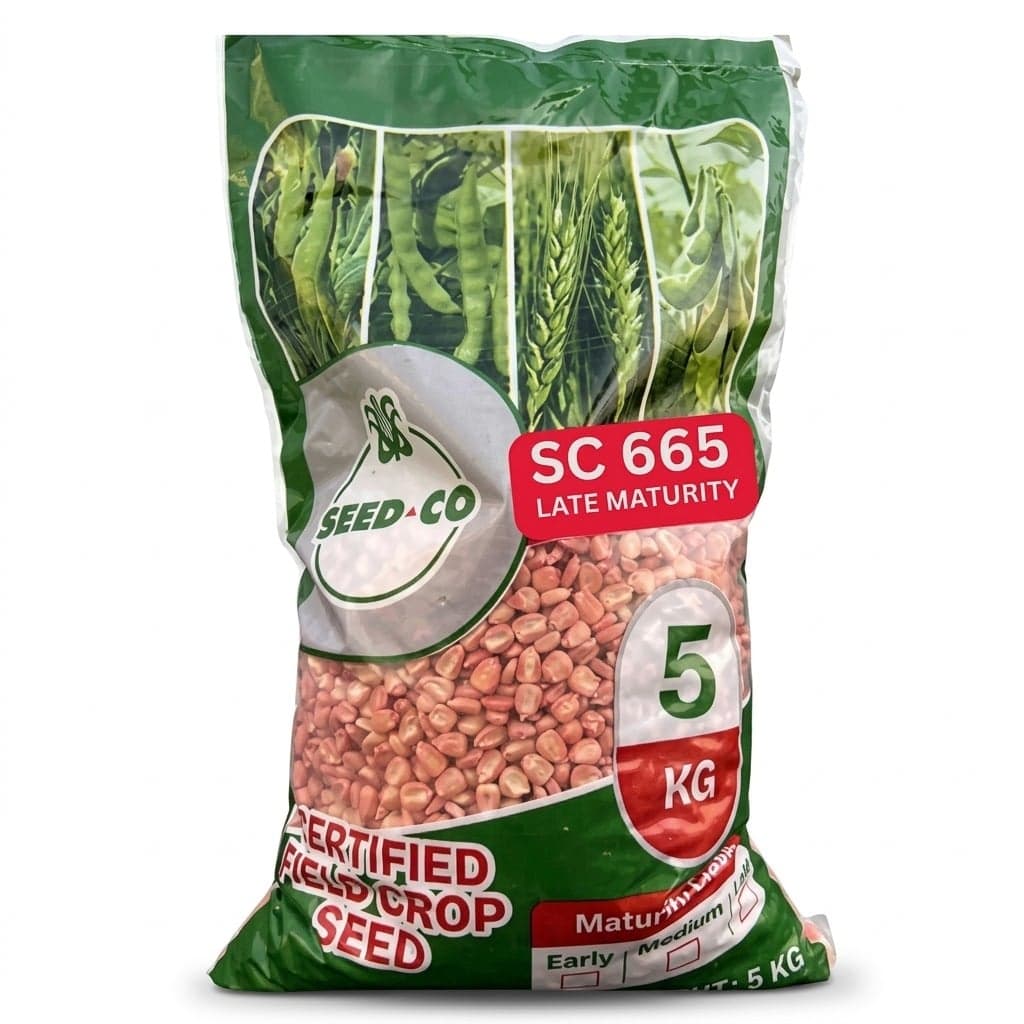 SC 665 Mkango Seed 5kg